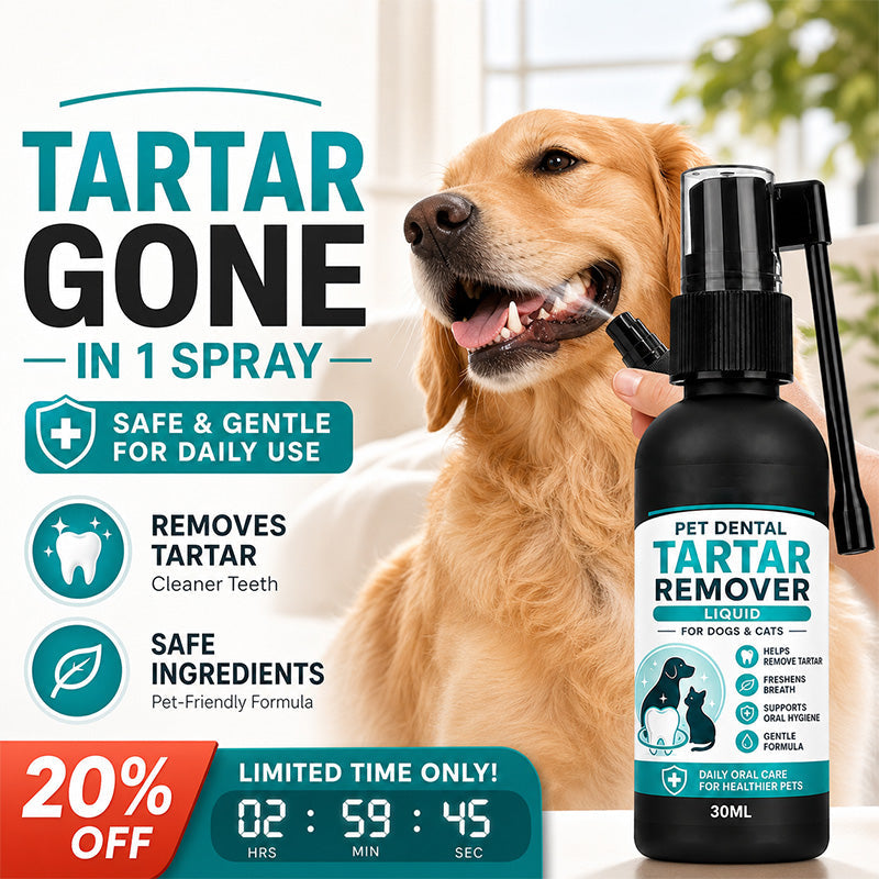 🐾 MOST 50% KEDVEZMÉNY! Kíméletes állatfogtisztító spray – egyszerű fogápolás kutyáknak és macskáknak fogmosás nélkül ✨