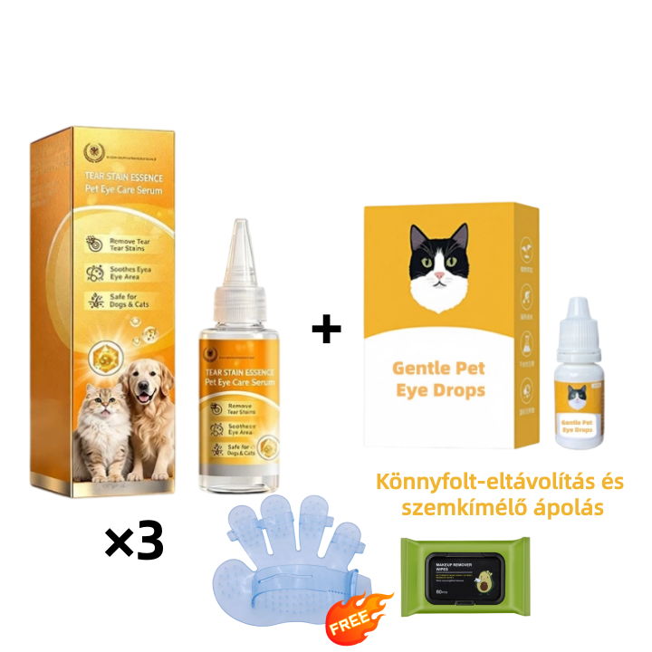 🐶 ✨ Gyengéd szemápolás – a szemkörnyék tisztítása és napi szőrápolás 👀