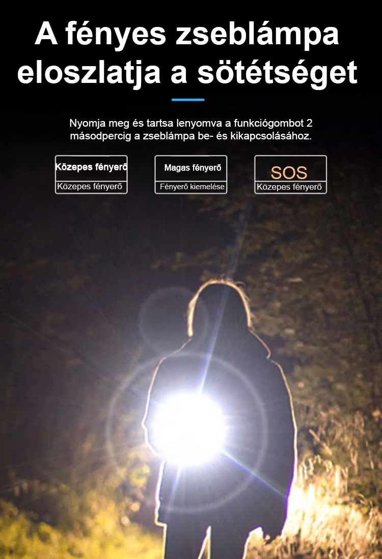 “Német Biztonsági Cég” toll zseblámpa