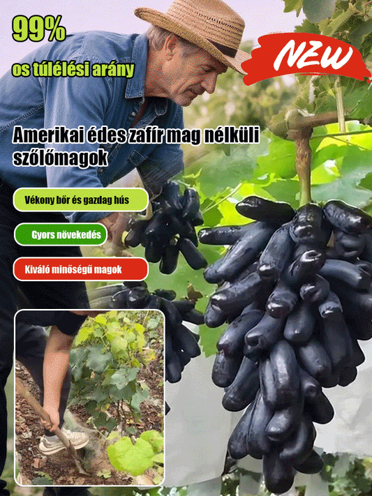 Sweet Sapphire szőlő magok