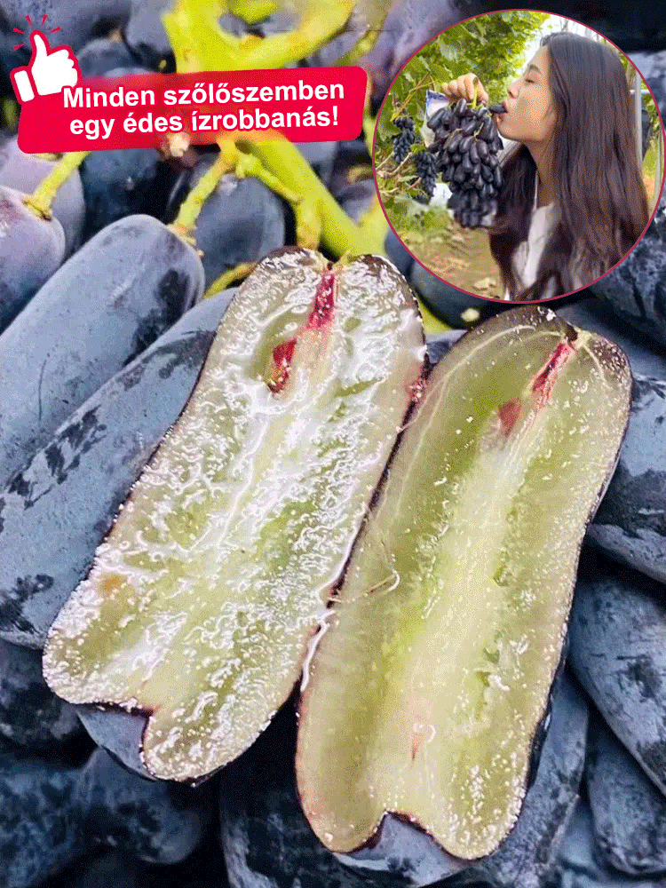 Sweet Sapphire szőlő magok