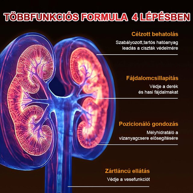 Vese kiegészítő kapszula Férfiak és nők számára egyaránt használható, tudományos formula, amely átfogóan javítja a vesefunkciókat!