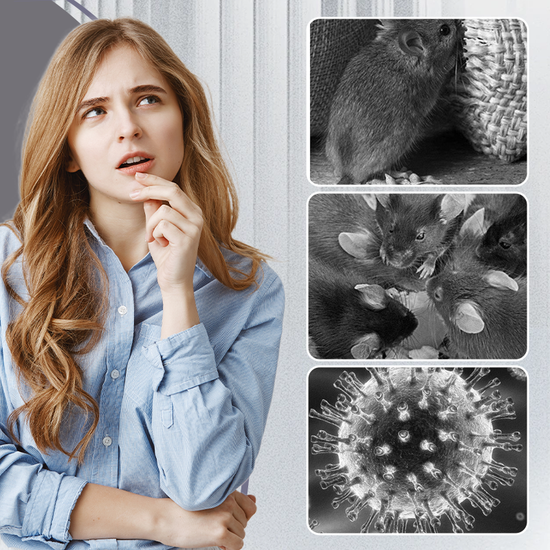 Extra nagy patkányragasztó csapdák