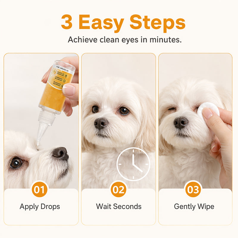 🐶 ✨ Gyengéd szemápolás – a szemkörnyék tisztítása és napi szőrápolás 👀
