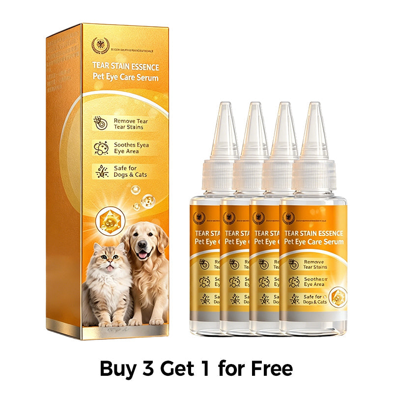 🐶 ✨ Gyengéd szemápolás – a szemkörnyék tisztítása és napi szőrápolás 👀